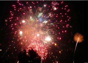 Pictures of Black Squirrel Fireworks